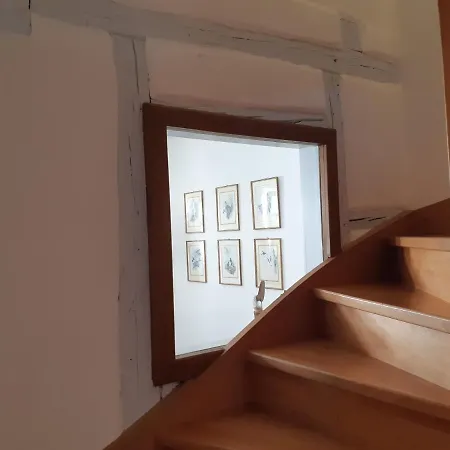 Appartement Margot - Hyper Centre