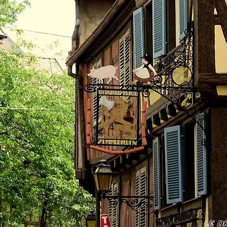 Margot - Hyper Centre Colmar