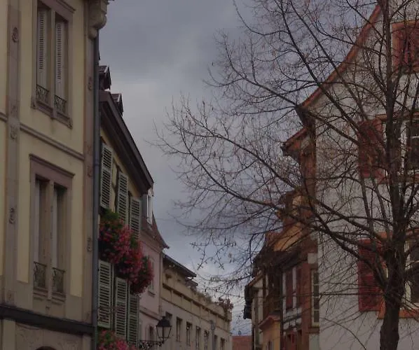 Margot - Hyper Centre * Colmar