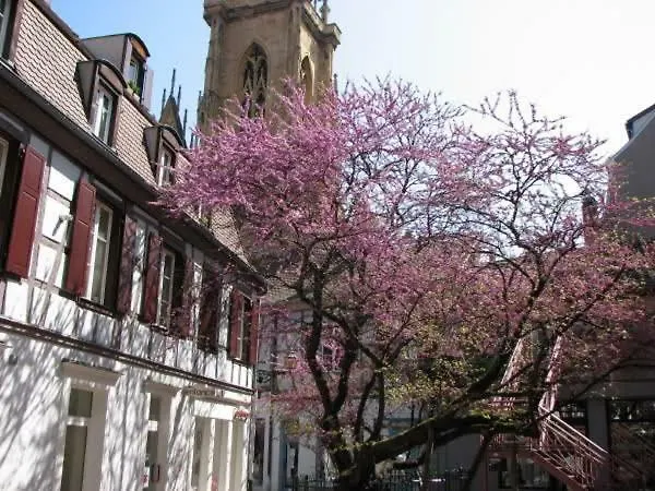 Margot - Hyper Centre * Colmar