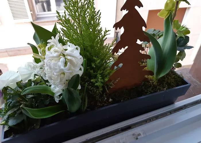 Lejlighed Margot - Hyper Centre Colmar