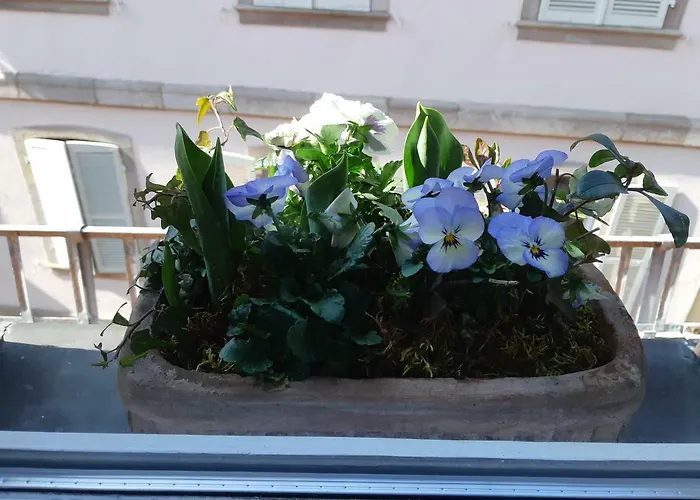 Margot - Hyper Centre * Colmar